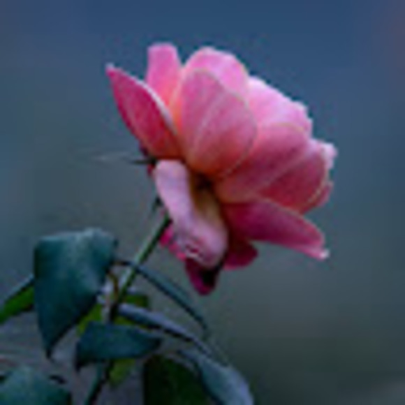 Meet your Posher, Farther out - Picture 1 of 1